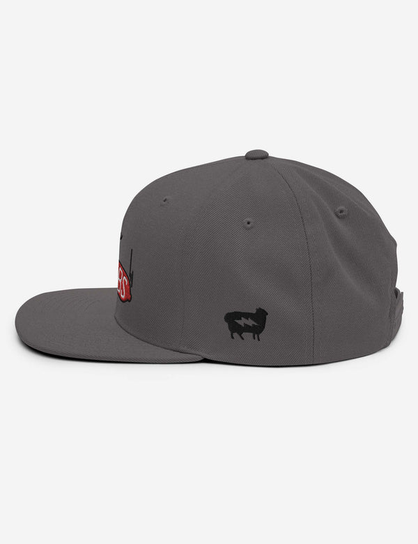 Drop Bombs - Snapback